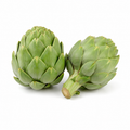Globe Artichoke