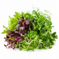 Microgreen Mix