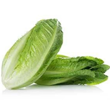 Lettuce Romaine Green -250gm