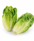 Baby Gem Lettuce