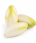Belgian Endive