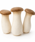 King Oyster Mushroom