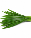 Pandanus Leaves (Imported)