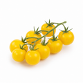 winecherry tomato yellow