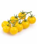 winecherry tomato yellow