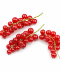 Red Currant