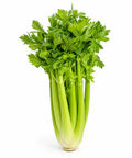 Celery