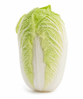 Chinese Cabbage