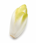 Endive