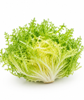 Frisee / Endive