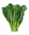 Gailon Broccoli
