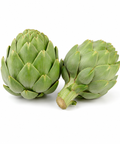 Globe Artichoke