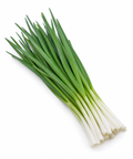 Japanese Bunching Onion