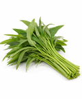Kangkong