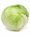 Lettuce Iceberg