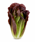 Lettuce Romaine Red