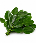 Makroot / Kaffir Lime Leaves