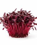 Microgreen Amaranthus