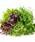 Microgreen Mix