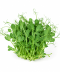 Microgreen Snow Peas