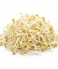 Mung Sprouts