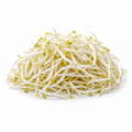 Mung Sprouts Long