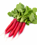 Radish Long Red