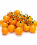 Sungold Tomato
