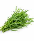Tarragon Fresh