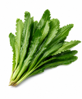 Thai Coriander