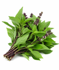 Thai Sweet Basil
