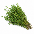 Thyme Fresh