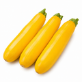 Zucchini Yellow